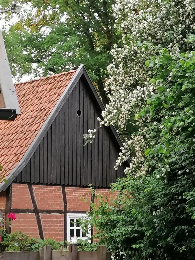 Ferienhaus In Rumke Bippen Dış mekan fotoğraf