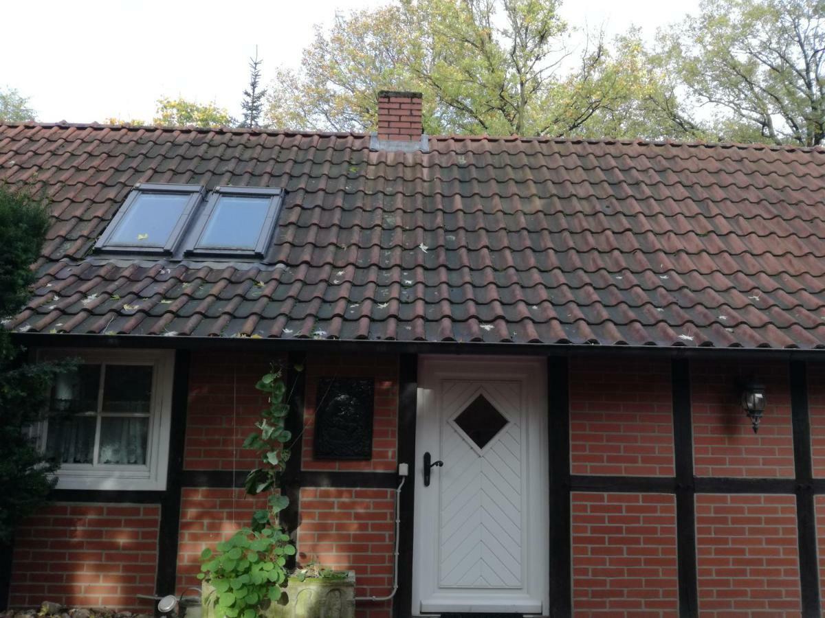 Ferienhaus In Rumke Bippen Dış mekan fotoğraf