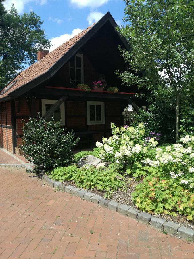 Ferienhaus In Rumke Bippen Dış mekan fotoğraf